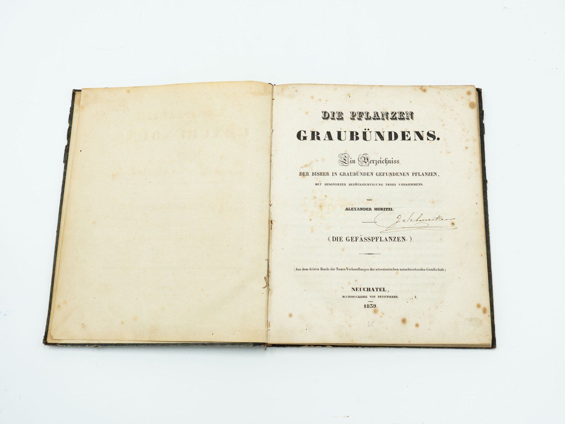 Libri: Antiquarisches Buch "Botanik Graubünden" - 1839 - Ref. 06/25 – Usato da Au ZH venduto da BrockiAu 1