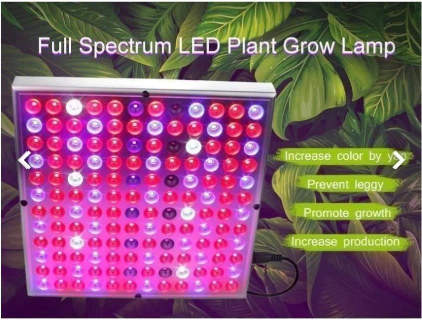 Lampade: LED Grow Light LED Pflanzenlampe – Nuovo e nell'imballaggio originale da Amriswil venduto da Ravinvida 5