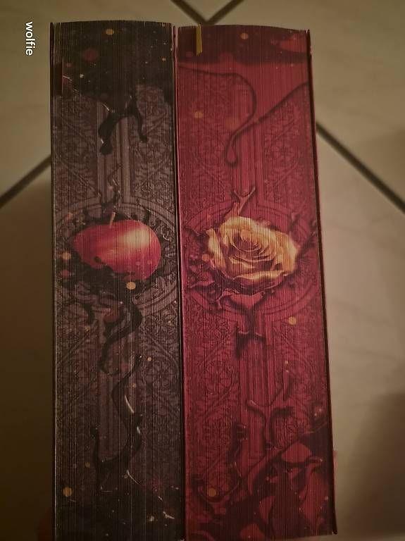 Libri: Ever & after b1 & b2   – Usato da Suhr venduto da ste_w8yp 1