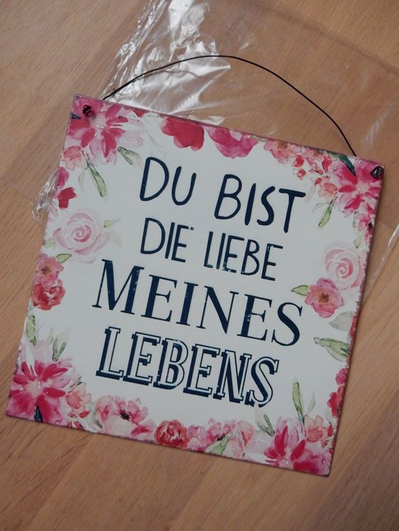 Blechschild NEU Du bist die Liebe meines Lebens... Spruch Kaufen auf
