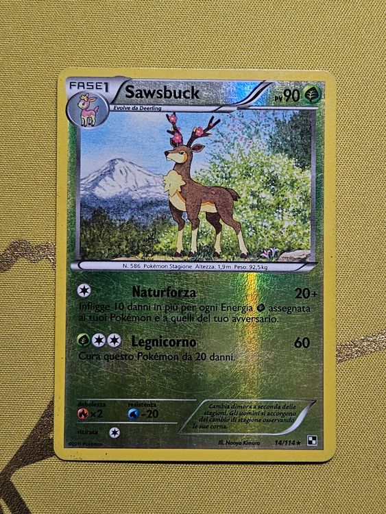 Black and White Sawsbuck Kaufen auf Ricardo