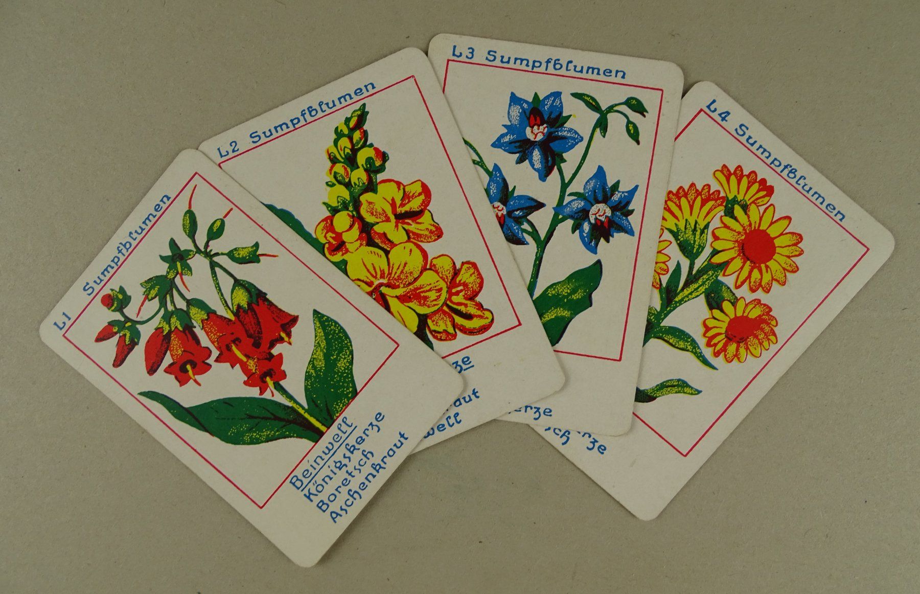 Giochi: ANTIKES BLUMEN-QUARTETT, KOMPLETT – Usato da Grüningen venduto da Kartensammler 3