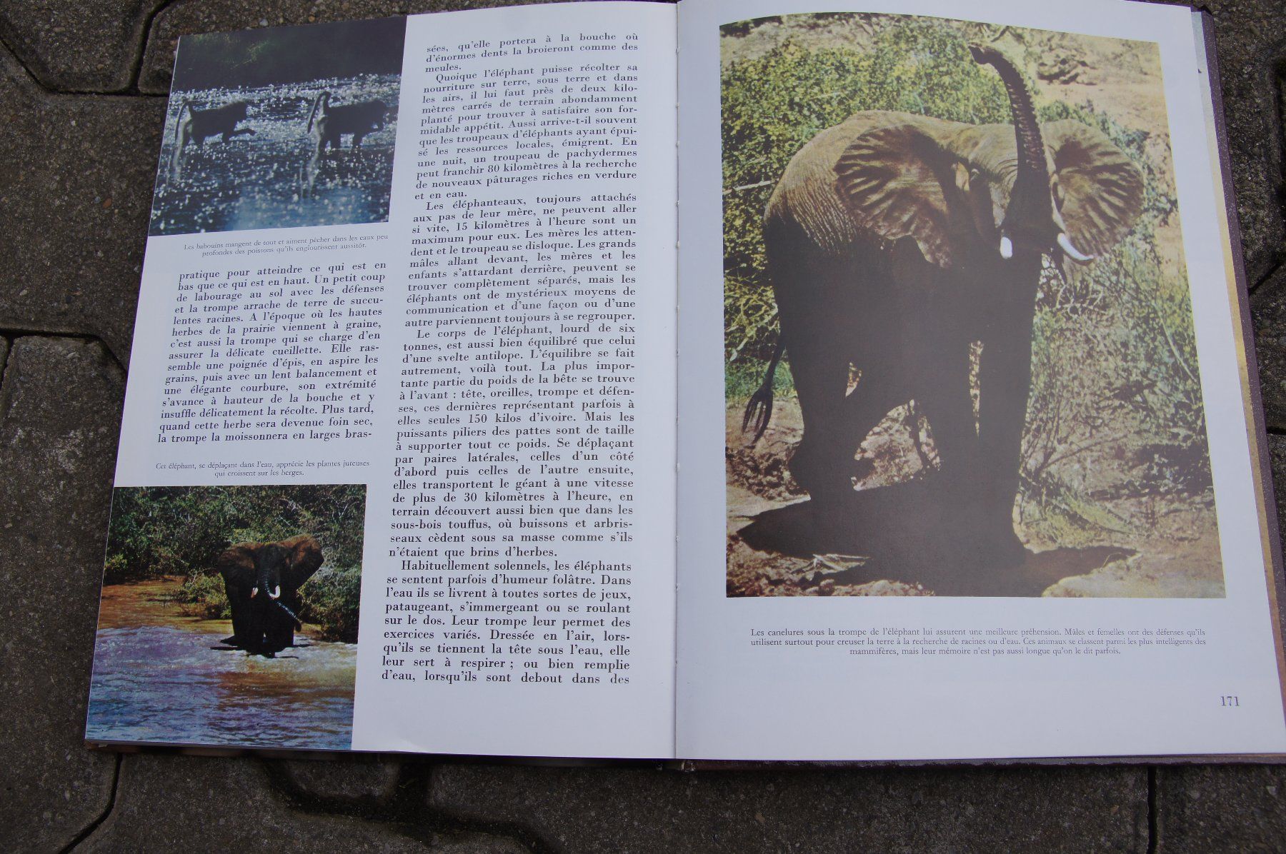 Libri: La vie sauvage – Usato da Sierre venduto da Erjou 3
