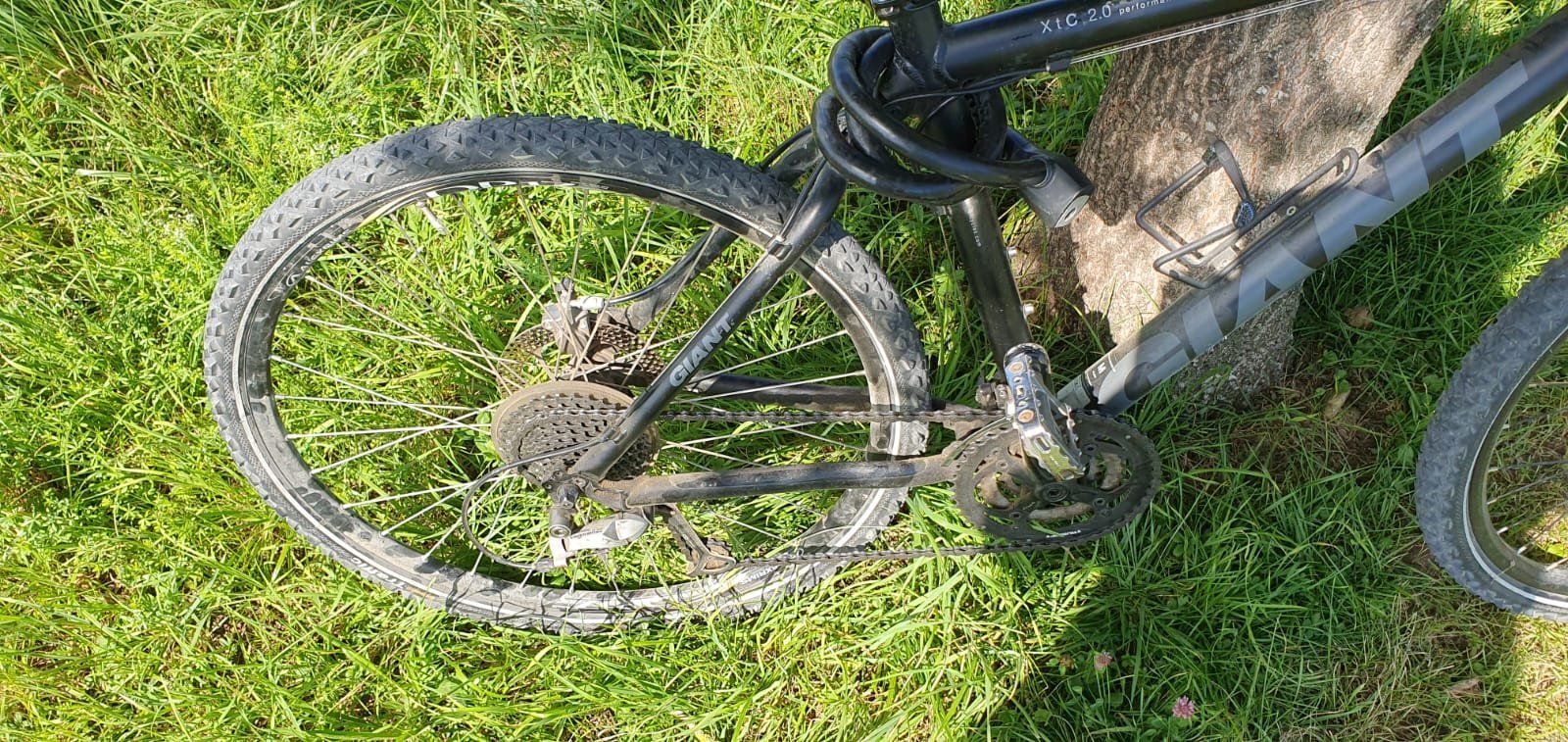 Giant Biciclette: Giant XTC 2.0 anthrazit 19'' Mountainbike – Usato da Märstetten venduto da activemember 2