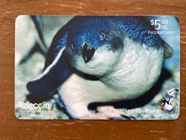 Telefonkarte Neuseeland Blue Penguin