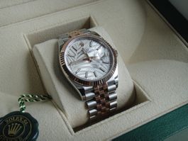 Rolex / Datejust 36 Palm Motif Dial / Fabrikneu