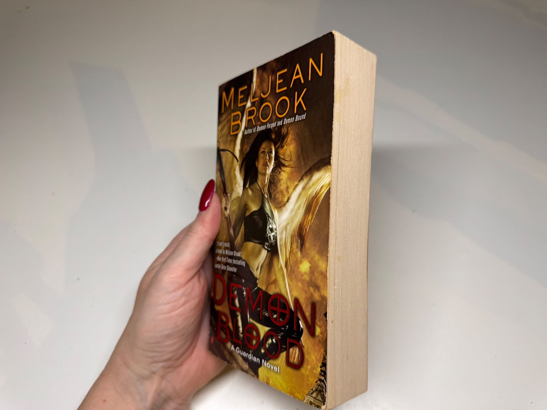 Livres: NOVEL: Meljean Brook, Demon Blood – D'occasion à Grosswangen par English_books 1