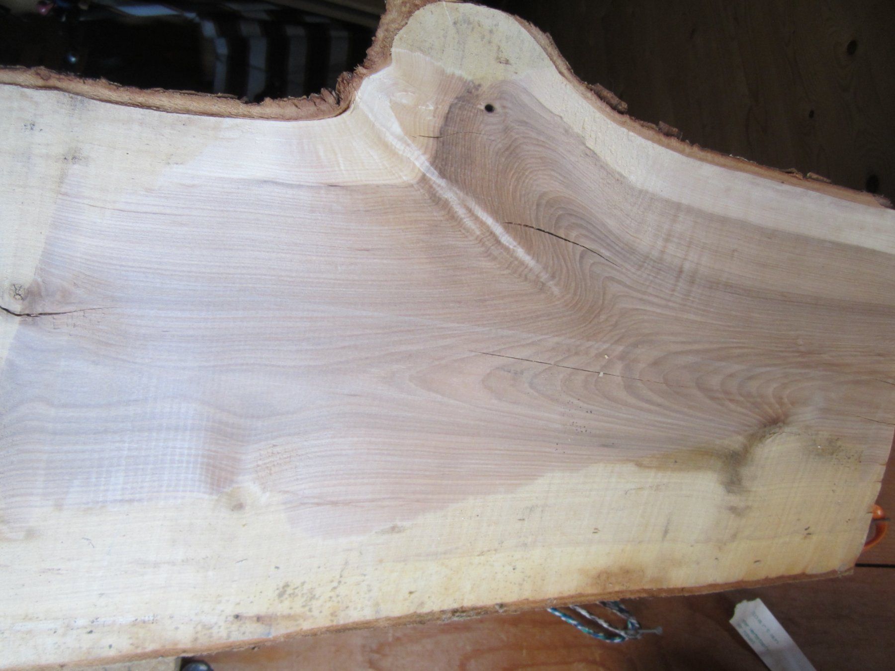Articoli in legno: Vogelbeerbaum  zum Drechseln – Nuovo (secondo la descrizione) da Nesslau venduto da Jakobi01