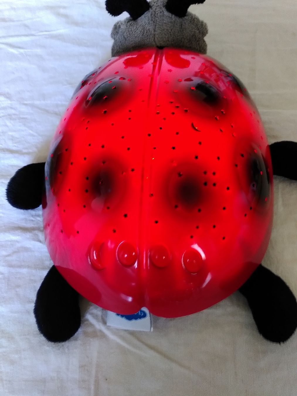 Lampade: Cloud B veilleuse coccinelle – Usato da Echallens venduto da Raphia87 4