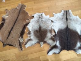 Echtes Ziegenfell (3 Stk.)