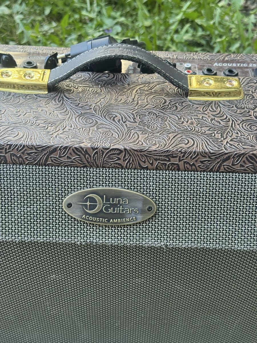 Strumenti musicali: Luna E-Guitar & used Amplifier – Nuovo (secondo la descrizione) da Basel venduto da ine_d8d5 4