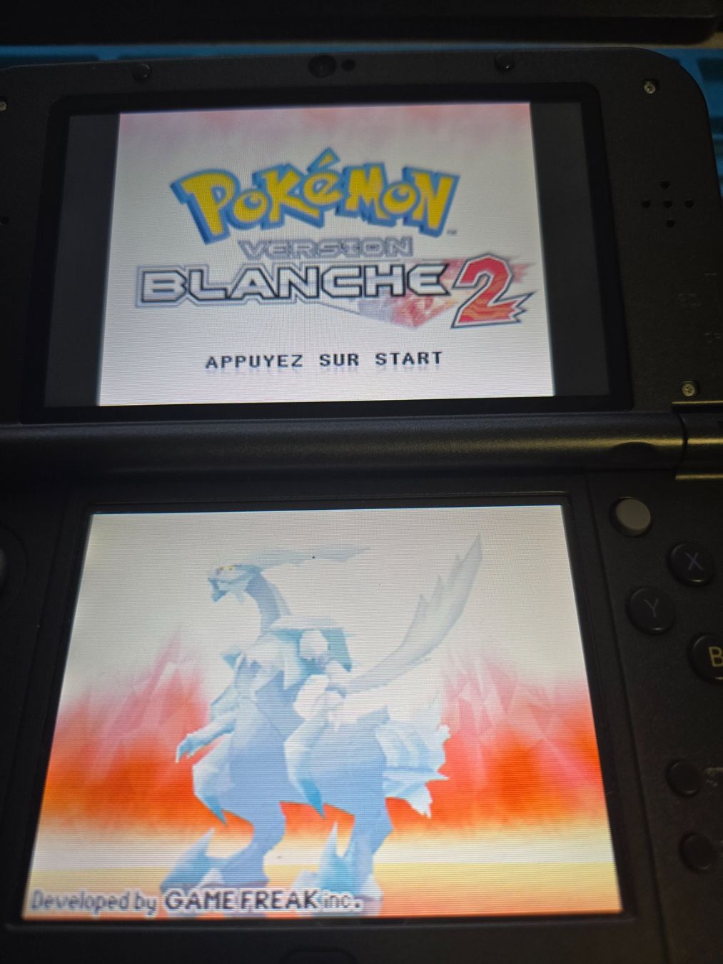 Pokémon Giochi: Pokémon Version Blanche 2 Nintendo DS – Usato da Matten b. Interl venduto da Gameplus 3