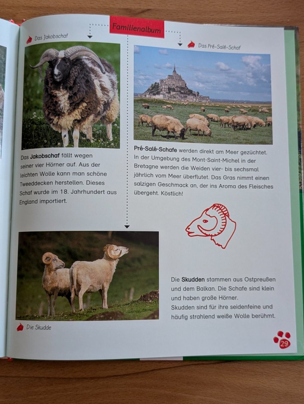 Libri: Sachbuch: Das Schaf/ Esslinger – Usato da Weite venduto da Nur63 3