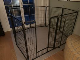 Laufgitter für Hunde massiv 100cm - NEU gemäss Beschreibung
