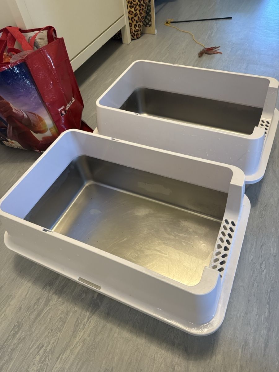 WC: Katzentoilette – Usato da Frenkendorf venduto da lop_sq9f 1