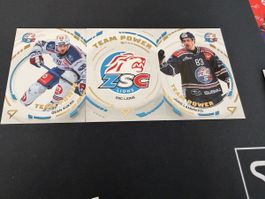 Sportzoo Team-Power base ZSC Lions