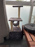 Katzenbaum Grau