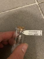 Glücksbringer