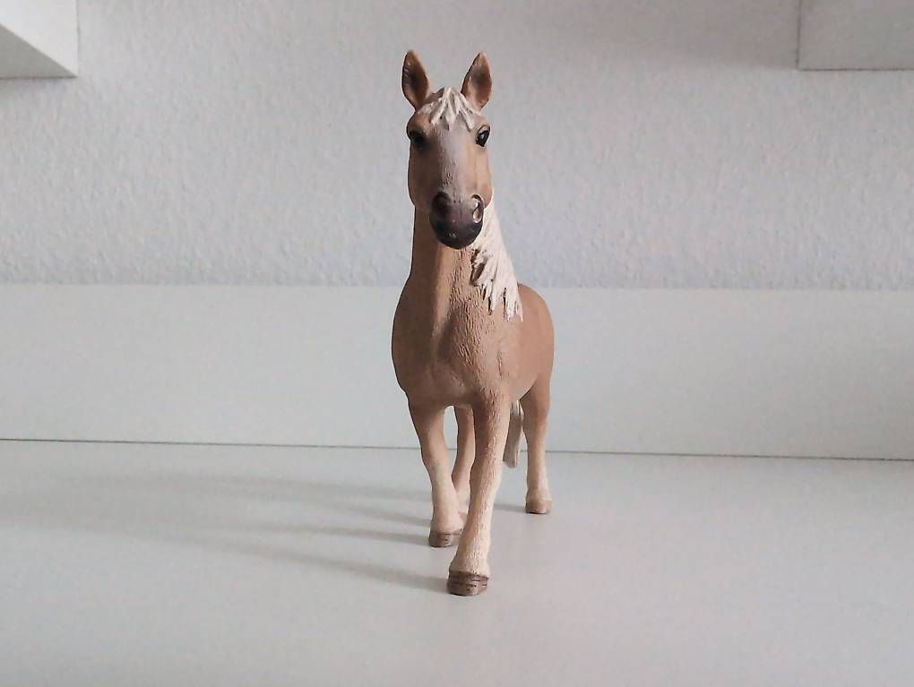 Schleich Spielzeuge: Schleich Haflinger Stute – Gebraucht aus Wangen b. Olten von kim_x9zn