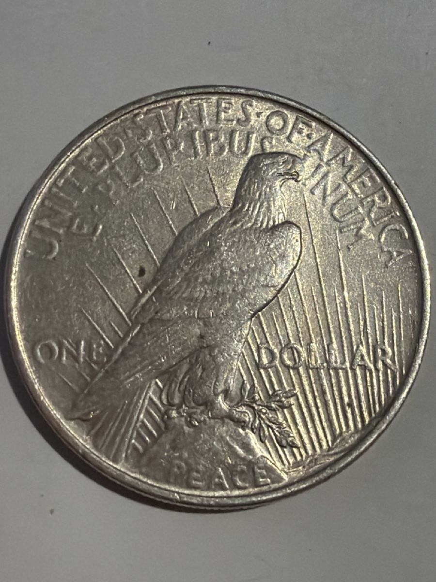 Tutti le monete: One Dollar Liberty – Usato da Hittnau venduto da Pat_yl7f 1