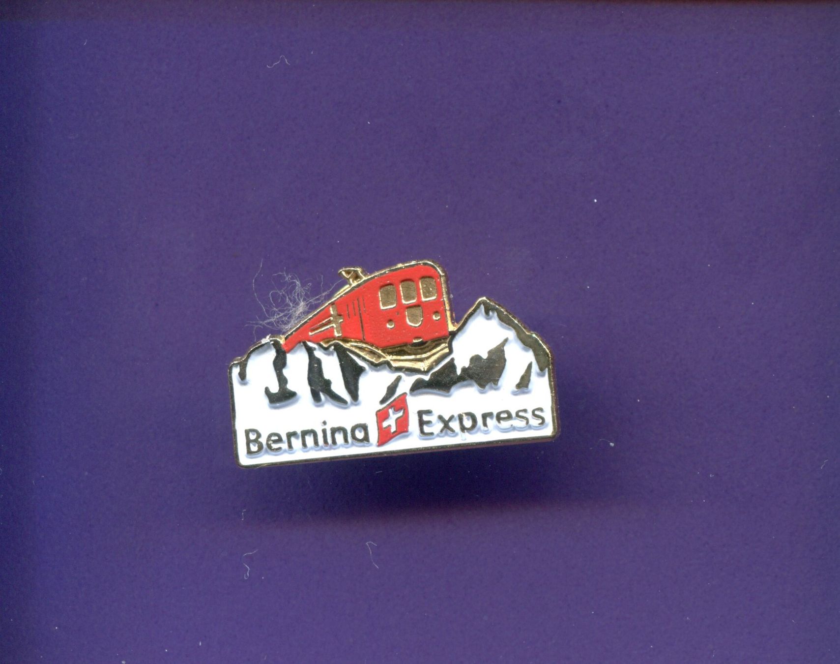 Placchette & Badge: Bernina Express – Usato da Winterthur venduto da Sammleroase