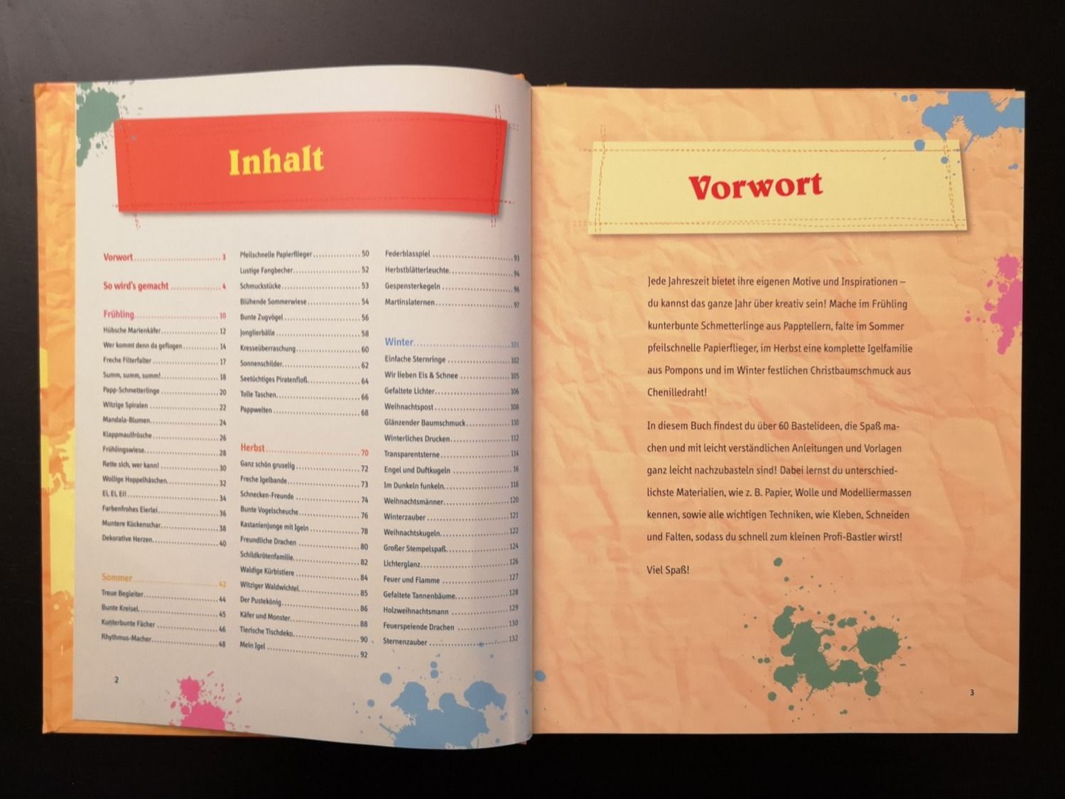 Bücher: Mein buntes Bastelbuch durchs Jahr – Gebraucht aus Liestal von Gitterli01 1