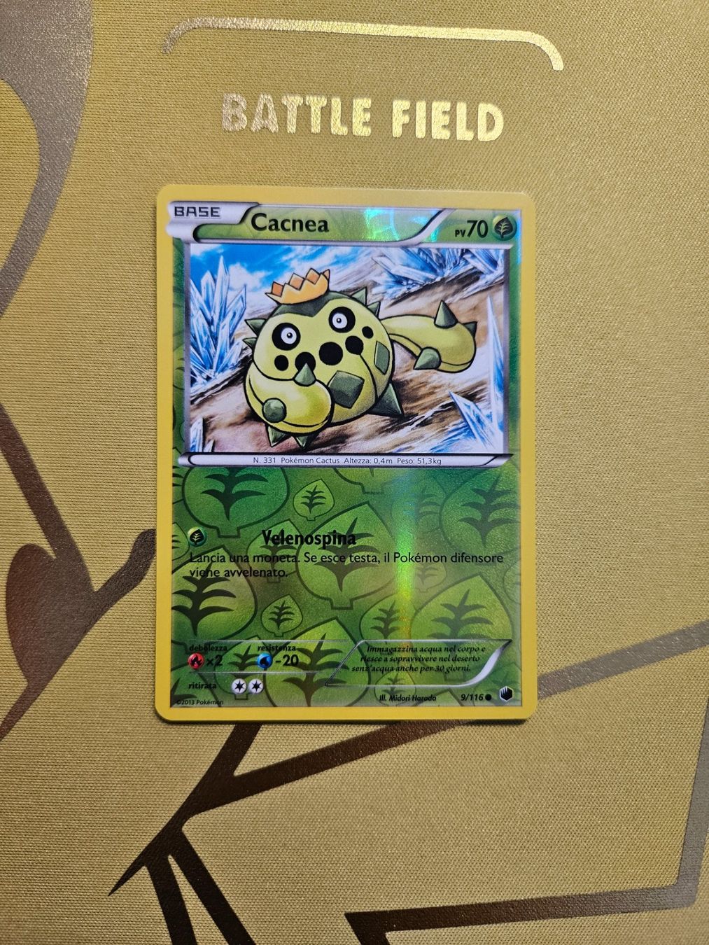 Pokémon Carte collezionabili: Plasma Freeze - Cacnea – Usato da Bellinzona venduto da Pokemarco