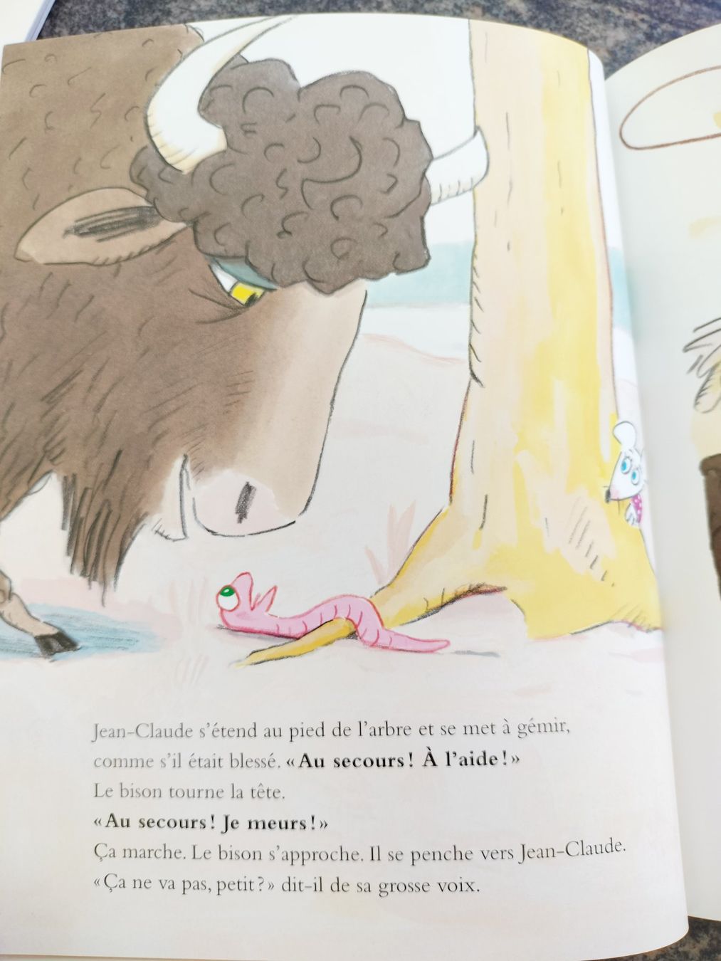 Libri: Le bison Catharina Valckx – Usato da Cortaillod venduto da rozinna 7