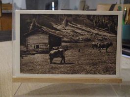 Alp Valzolära bei Passugg Postkarte  1