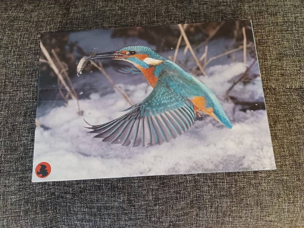 Puzzle: Puzzle Motiv "EISVOGEL" – Usato da Kriens venduto da kusi56