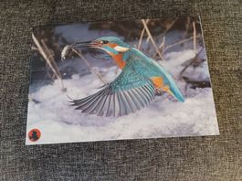 Puzzle Motiv "EISVOGEL"