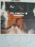 Plüsch Sidefiin CD Album - Top Zustand - Schweizer Mundart!