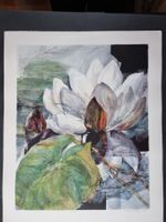GERDA NIETZER LITHOGRAPHIE SIGNIERT KÜNSTLERPROBE SEEROSE