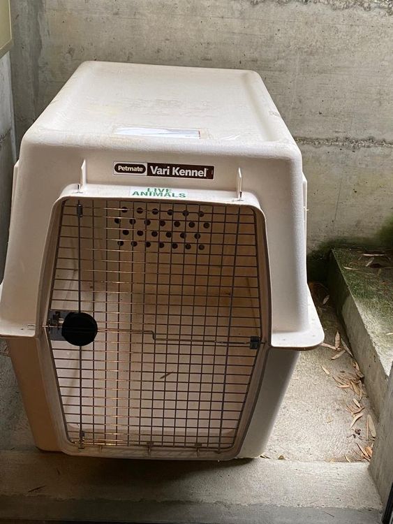 XXL Hundebox/Flugbox Vari Kennel Ultra Kaufen auf Ricardo