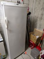MIO*STAR Gefrierschrank MSG 202 ECO A+ weiss