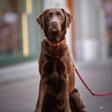Profile image of NoWy98