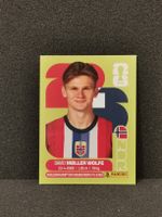 Panini Wm 2026 Sticker :David Moller Wolfe Nor 7