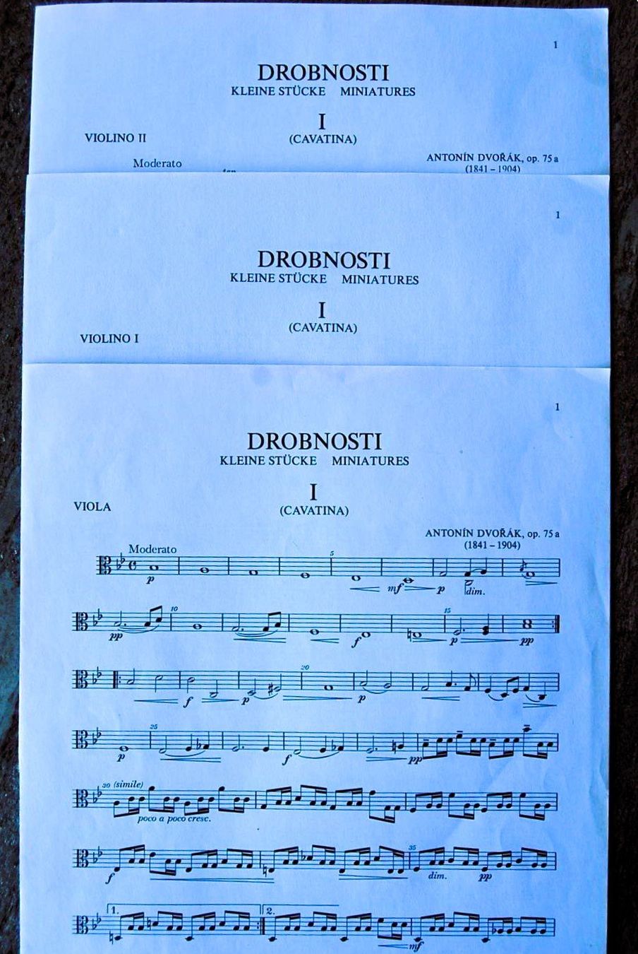 Libri: Dvorak - Drobnosti - Gavota – Usato da Rüfenacht BE venduto da Toro06 1