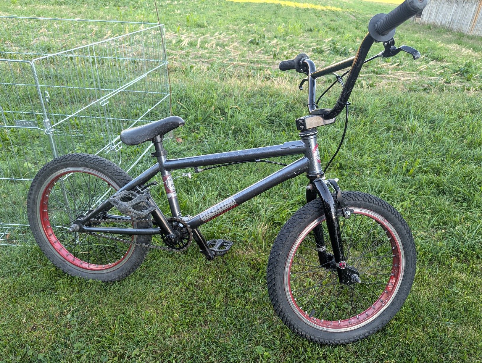 Biciclette: Kinder-BMX der Marke Diamondback – Usato da Pfäffikon ZH venduto da singa96