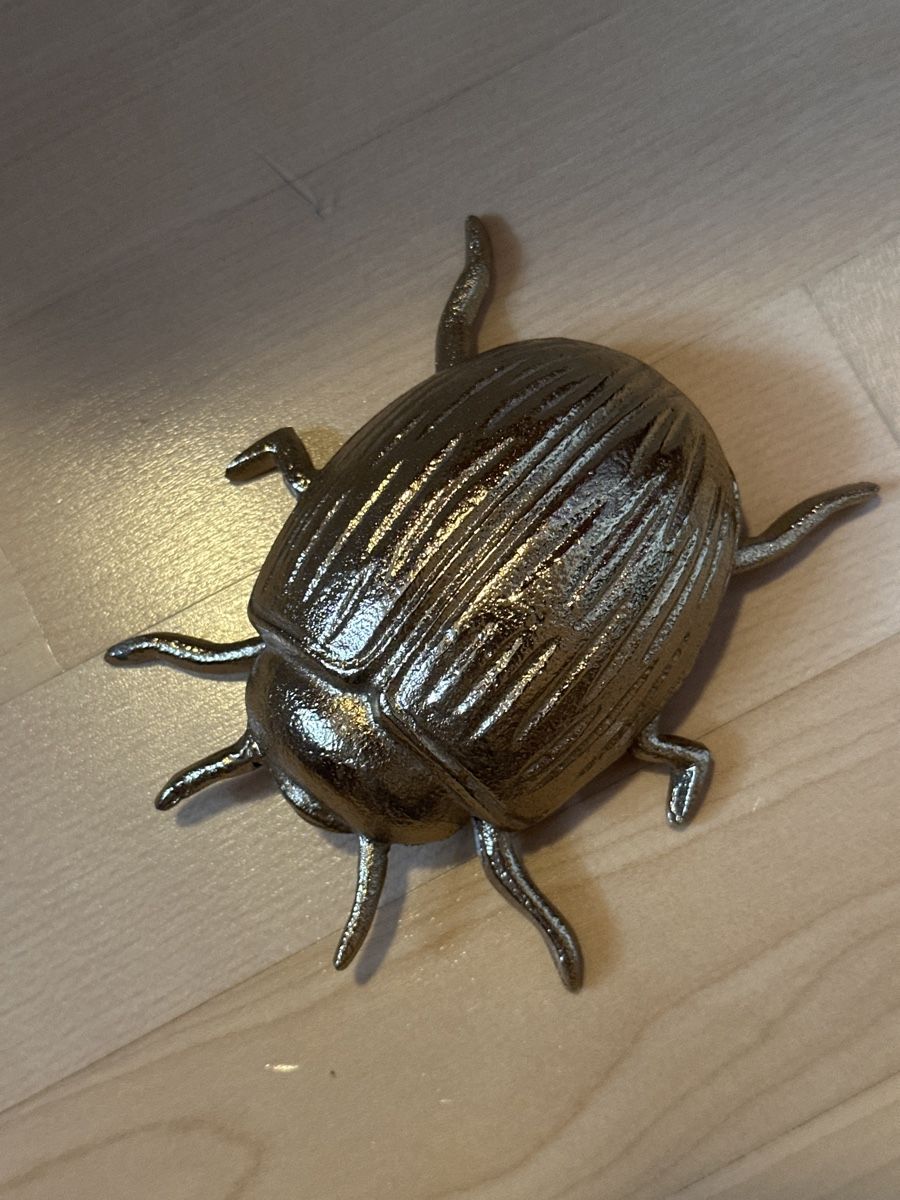 Alle Dekorationen: Goldige Käfer Deko: 4er Set mit Libelle, Käfer, Schmetterlig – Neu (gemäss Beschreibung) aus Hergiswil NW von kaufe_at_kaufmann 3