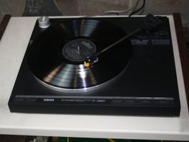 YAMAHA P-320 PLATTENSPIELER