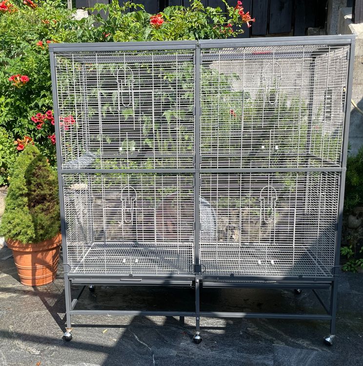 Spannende Voliere Gebraucht Verschenken Fotos
