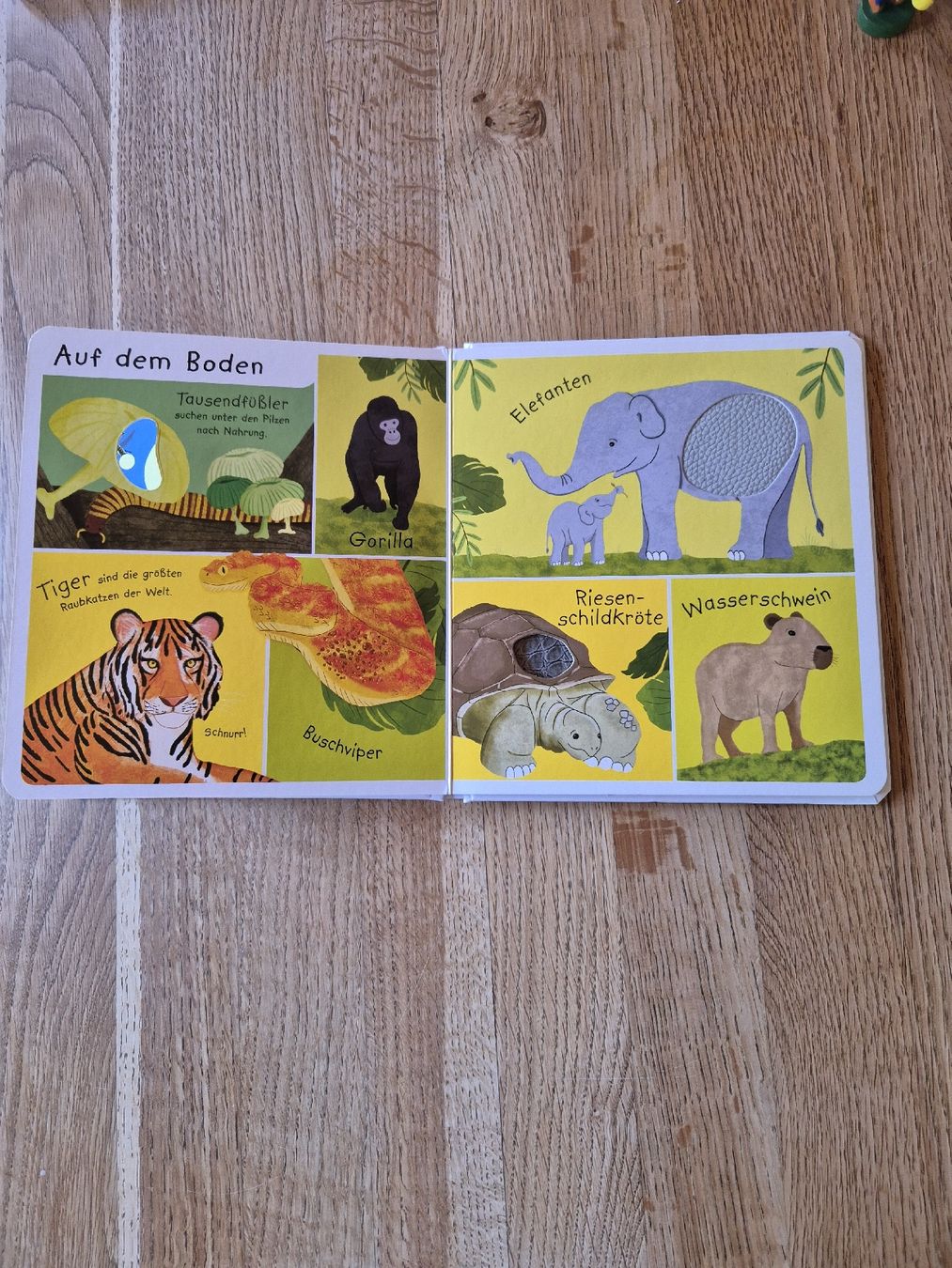 Libri: Bilderbuch Kinder – Usato da Valens venduto da Limaj 4