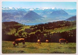Blick von Rigi-Kulm (1800 m)