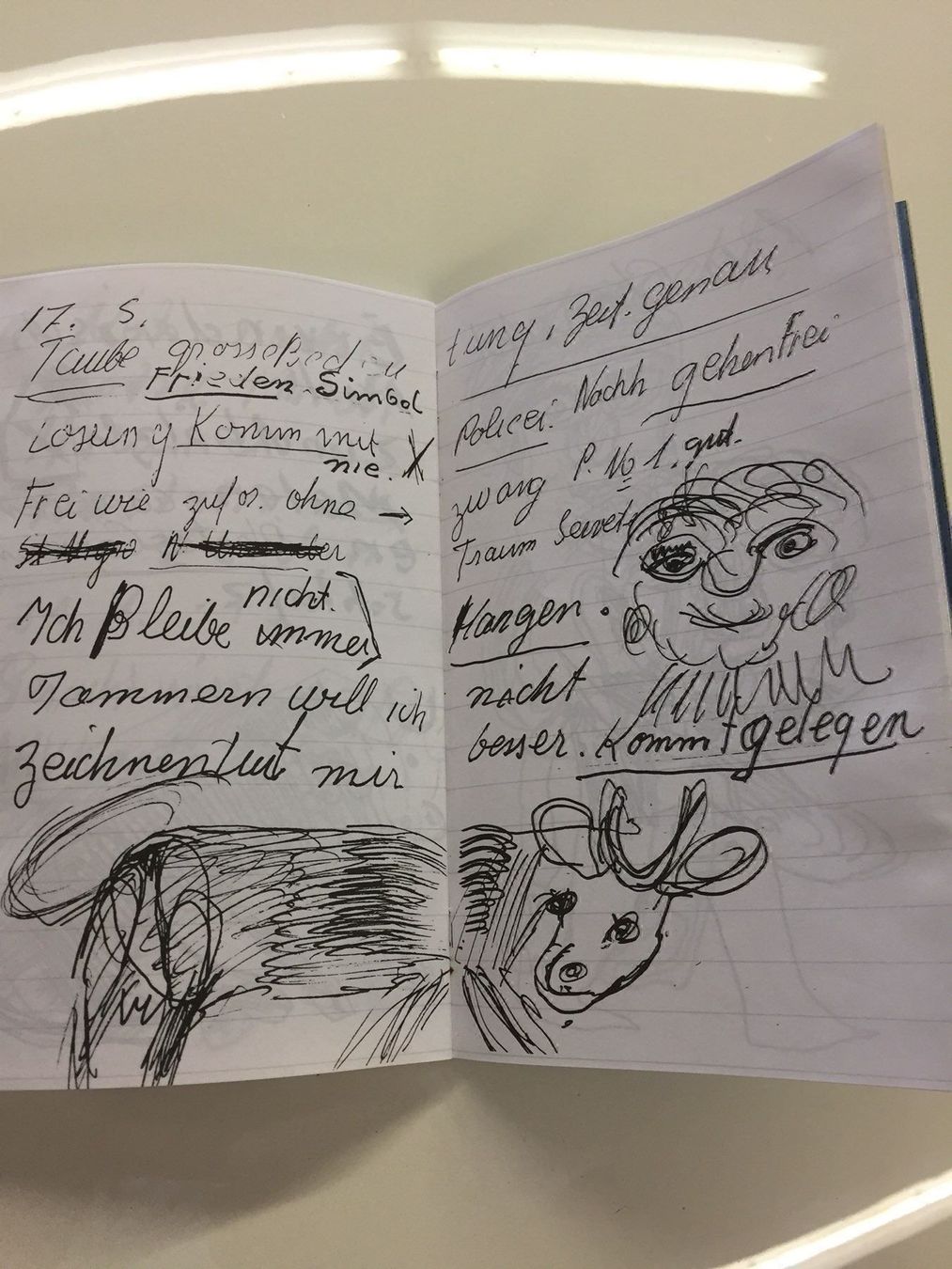 Bücher: Hans Krüsi Tagebüchlein Faksimile – Gebraucht aus Frasnacht von Kulturpalast 4
