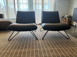2x Sessel Rolf Benz - Echtleder - Produktion 2026
