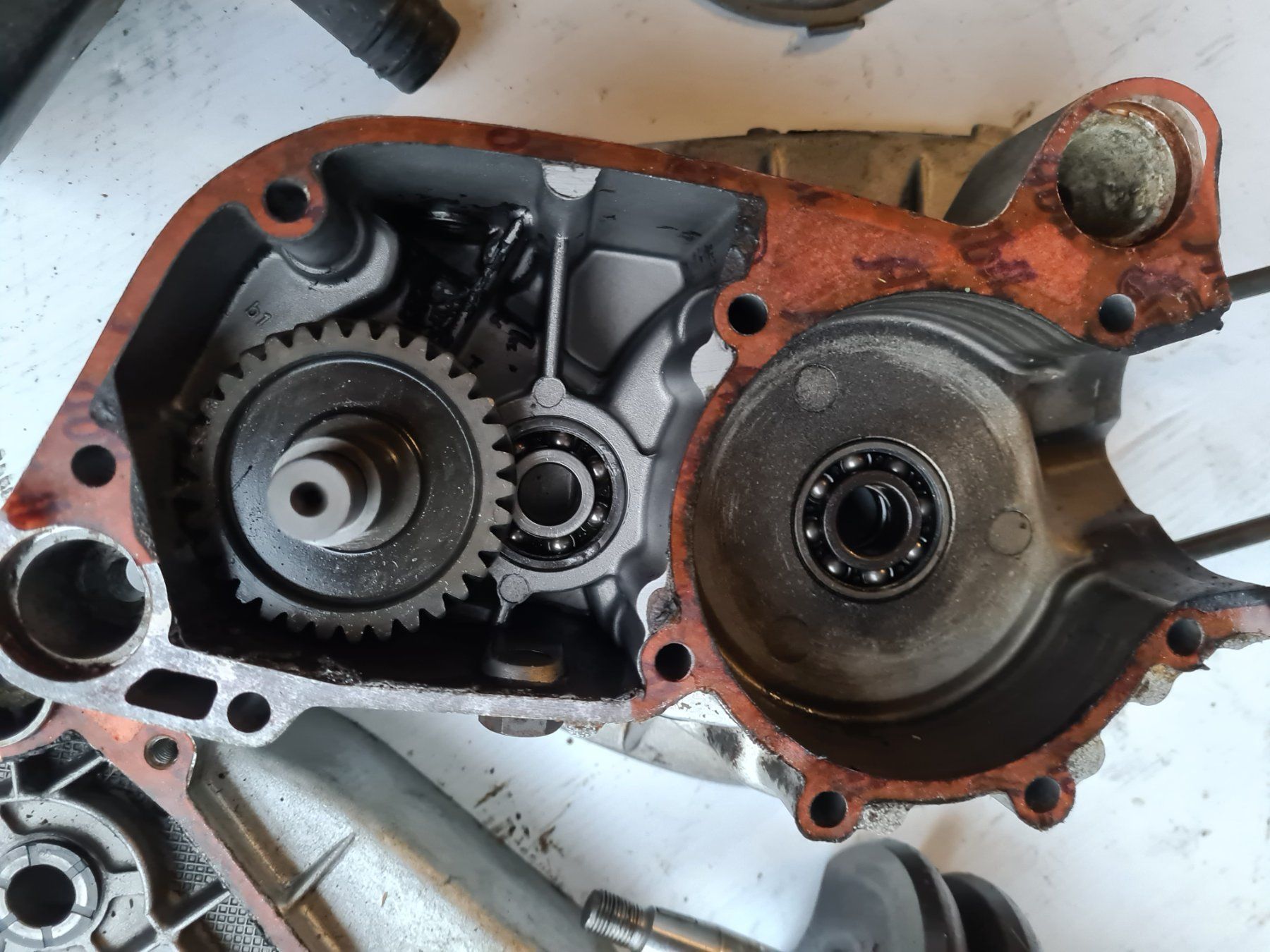 Sachs Mofas: Motor / Teile Sachs 503 ADV Breitwand – Gebraucht aus frümsen von  3