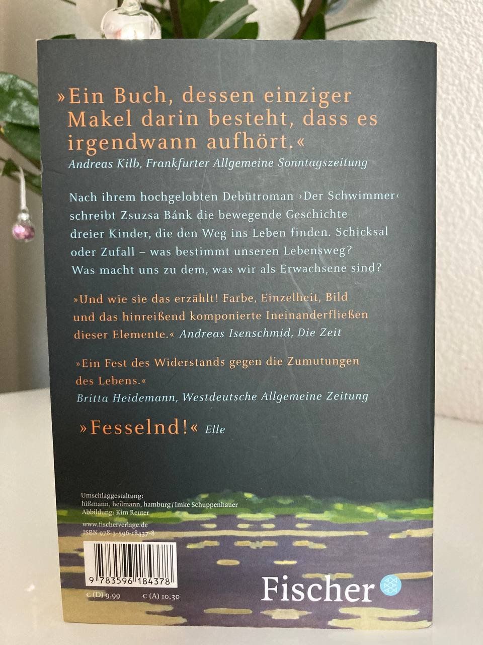 Bücher: Die hellen Tage ROMAN – Gebraucht aus Frauenfeld von SCHATZtruhe369 1