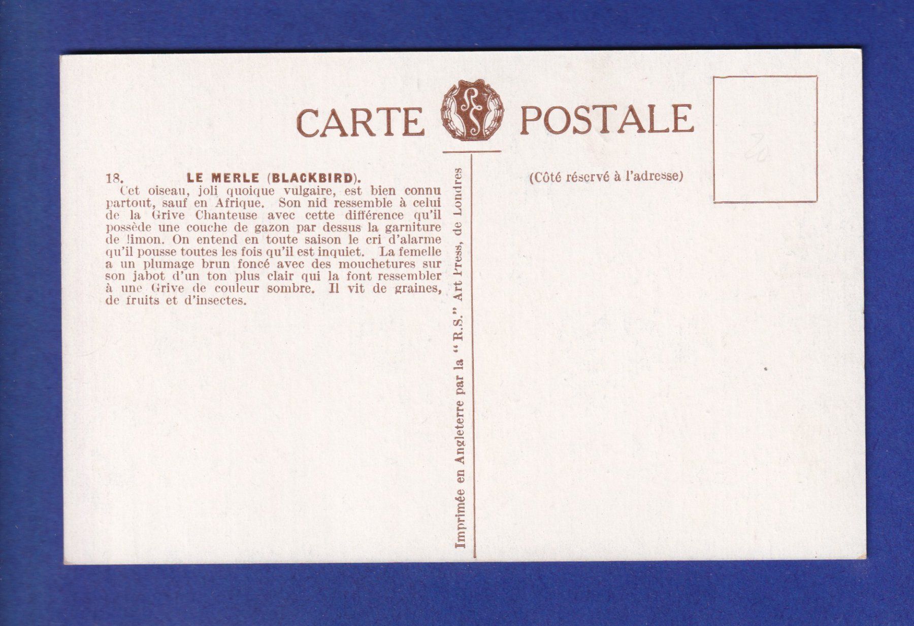 Cartoline postali: OISEAU - Merle – Usato da Pully venduto da nicecards-shop 1