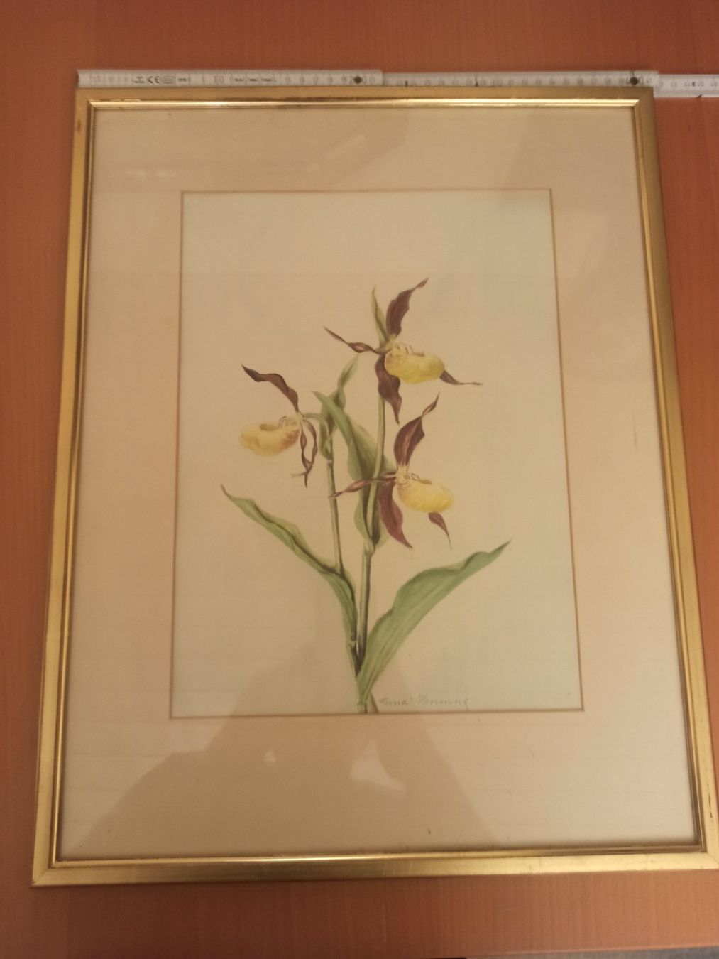 Foto & Immagini: 3 Stück Blumen Bilder – Usato da Dietikon venduto da nala_66